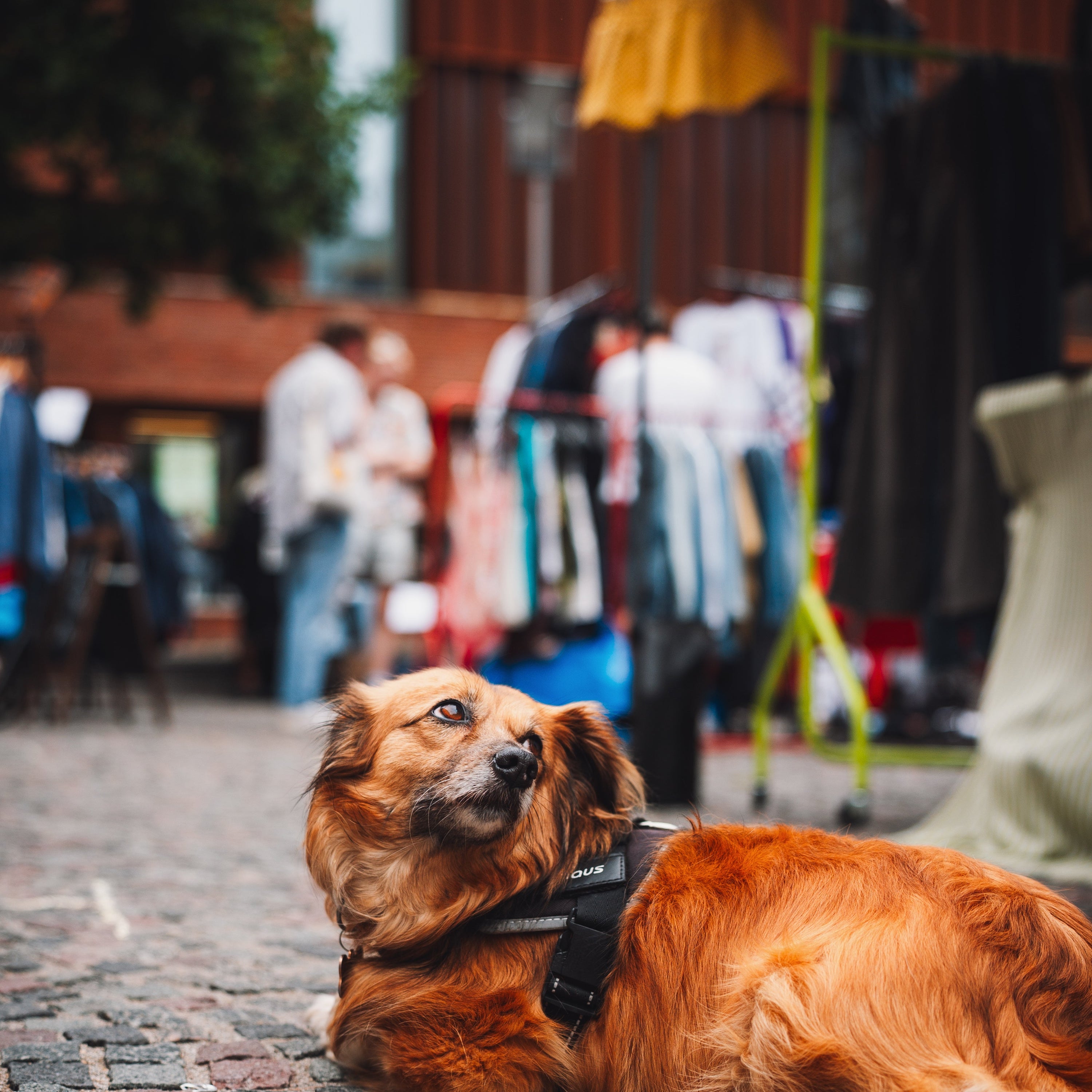 ReMarket FleaMarket @ Cutting Square | Manchester – 11.10.26